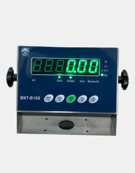 Indicador de peso de acero inoxidable BTN B19S Green